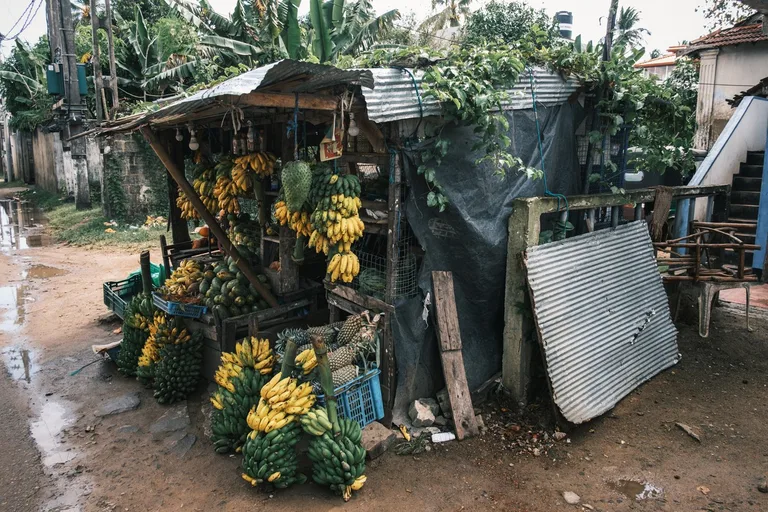 FUJIFILM X-PRO 3 - Traveling in Sri Lanka