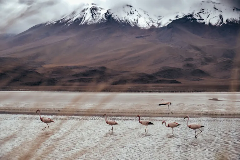 Latin America - Along the Andes
