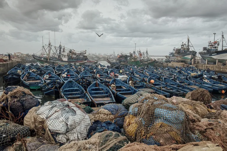 Sony World Photography Awards 2017 - My Photo in the Top 50